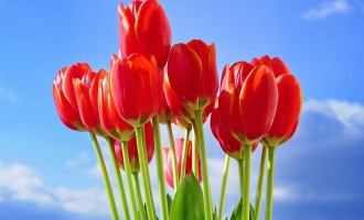 Những động tác nhỏ đem lại sức mạnh cho não bộ