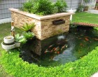 Phong thủy và sức khỏe của bạn