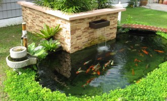Phong thủy và sức khỏe của bạn