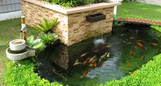 Phong thủy và sức khỏe của bạn