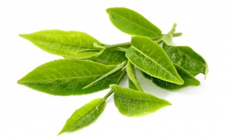 Công dụng làm đẹp từ trà xanh