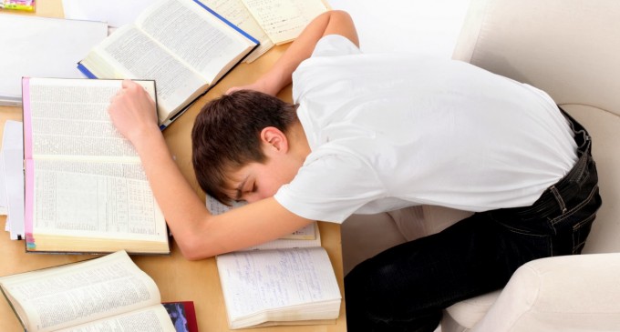 Thực phẩm giảm nhức mỏi mắt ngày hè
