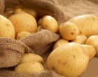 Cách phân biệt khoai tây Trung Quốc và Đà Lạt, Lâm Đồng