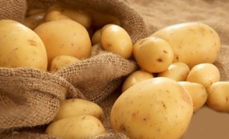 Cách phân biệt khoai tây Trung Quốc và Đà Lạt, Lâm Đồng