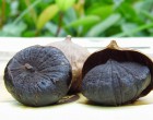 Bài thuốc chữa bệnh hay từ tỏi đen