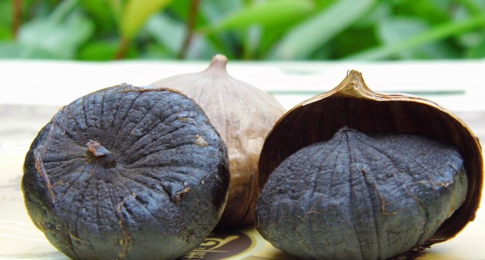 Bài thuốc chữa bệnh hay từ tỏi đen