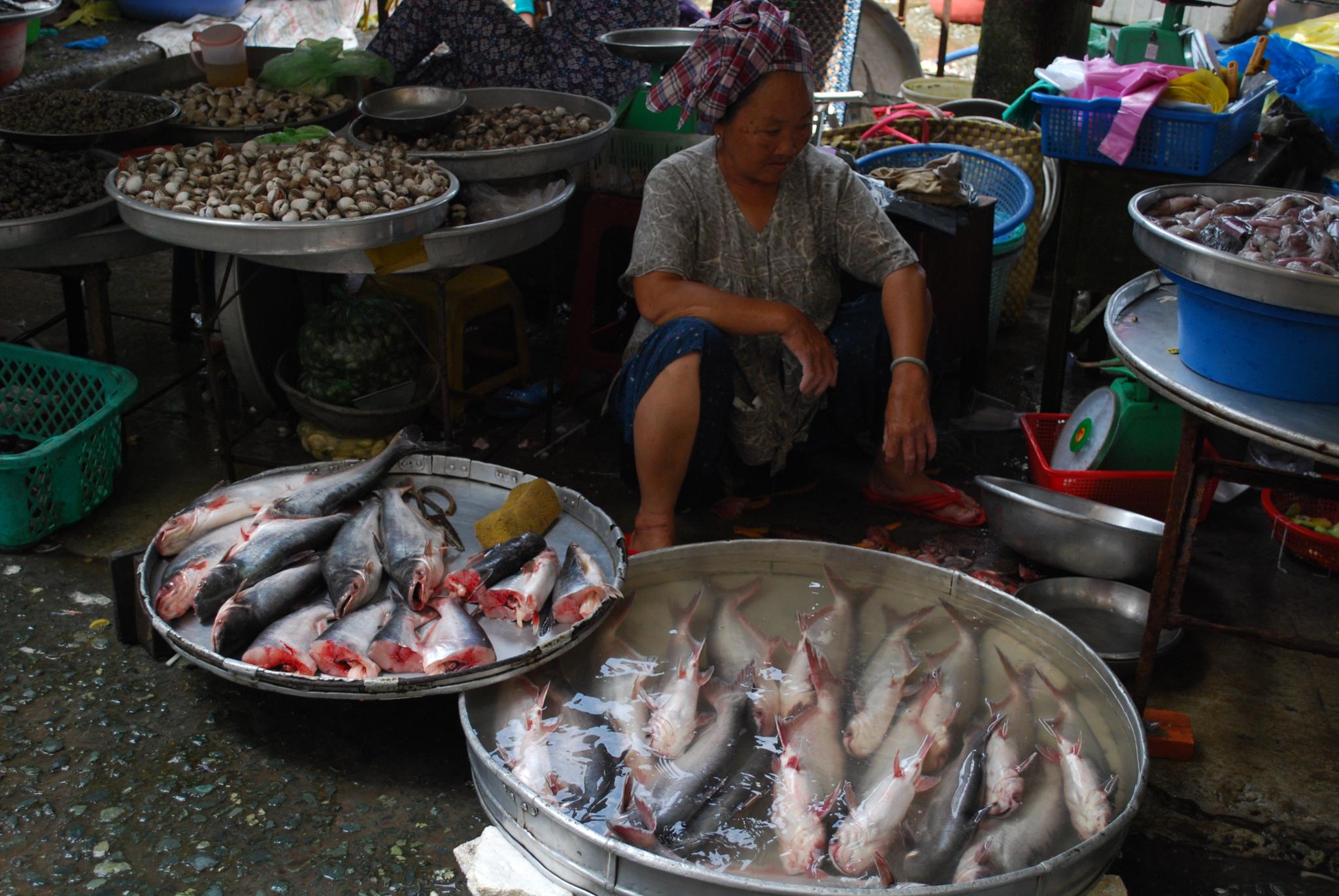 trái cây giá rẻ