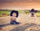 Người nuôi mèo thông minh hơn nuôi chó?